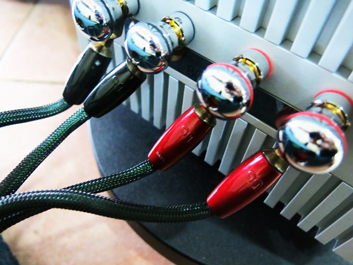 Looking for cables for your B&W Speakers? Audioquest would be a good choice! Visit our showroom for...